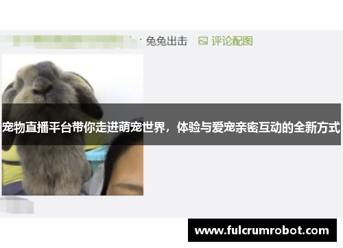宠物直播平台带你走进萌宠世界，体验与爱宠亲密互动的全新方式