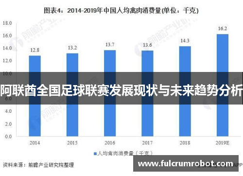 阿联酋全国足球联赛发展现状与未来趋势分析