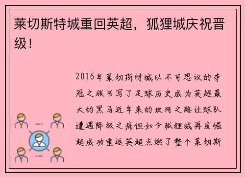莱切斯特城重回英超，狐狸城庆祝晋级！