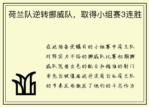 荷兰队逆转挪威队，取得小组赛3连胜